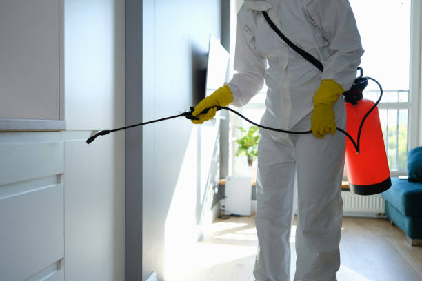 Home Mold Removal in Cherry Hills Village, CO